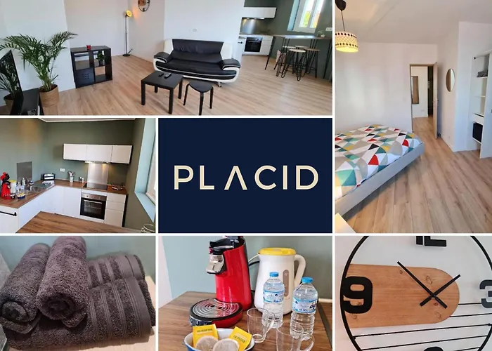 Le Scottmanhouse - Appartement Prive - Centre Ville - Gare - Wi-Fi