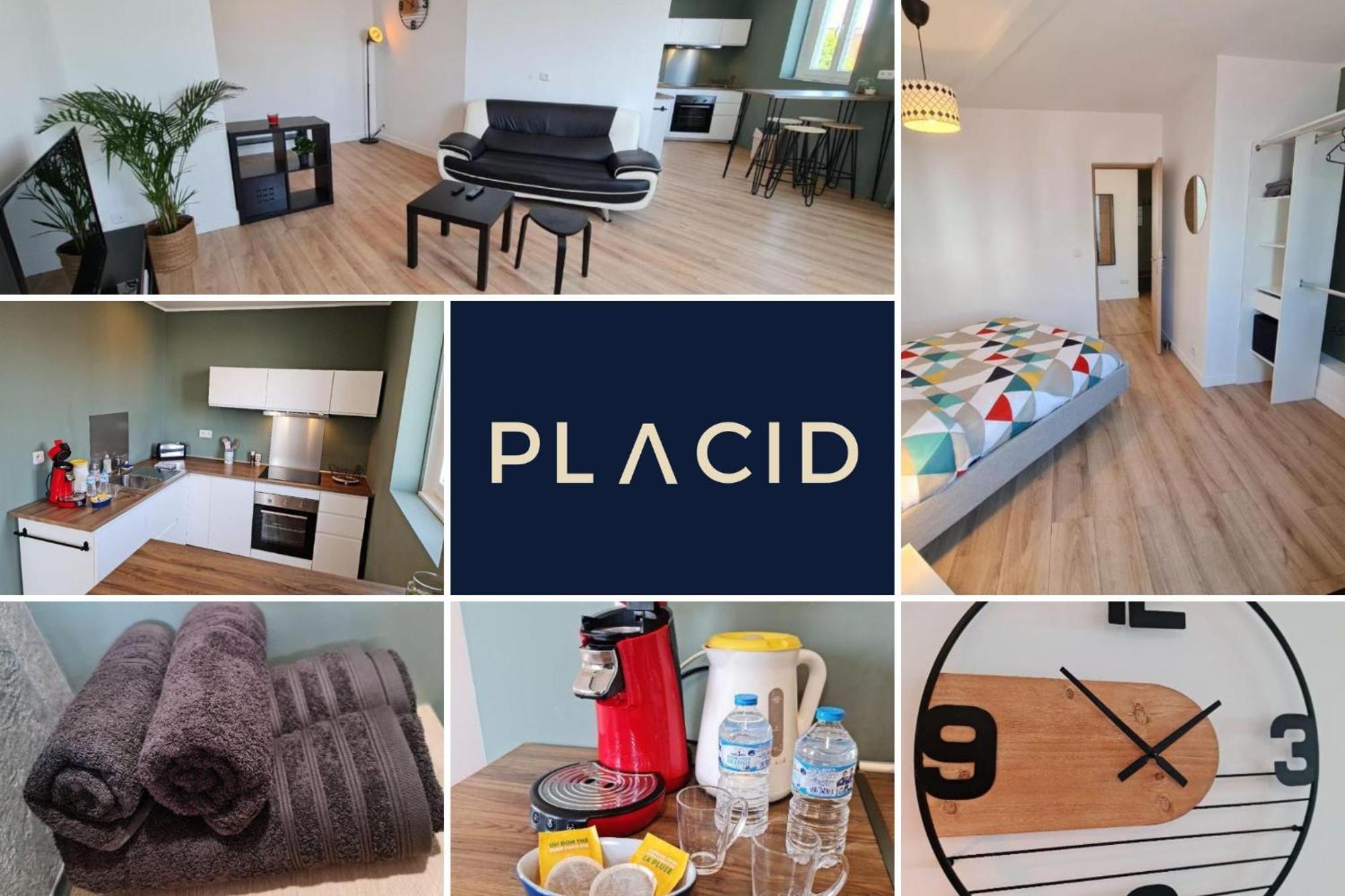 Apartment Le Scottmanhouse - Prive - Centre - Gare - Wi-fi